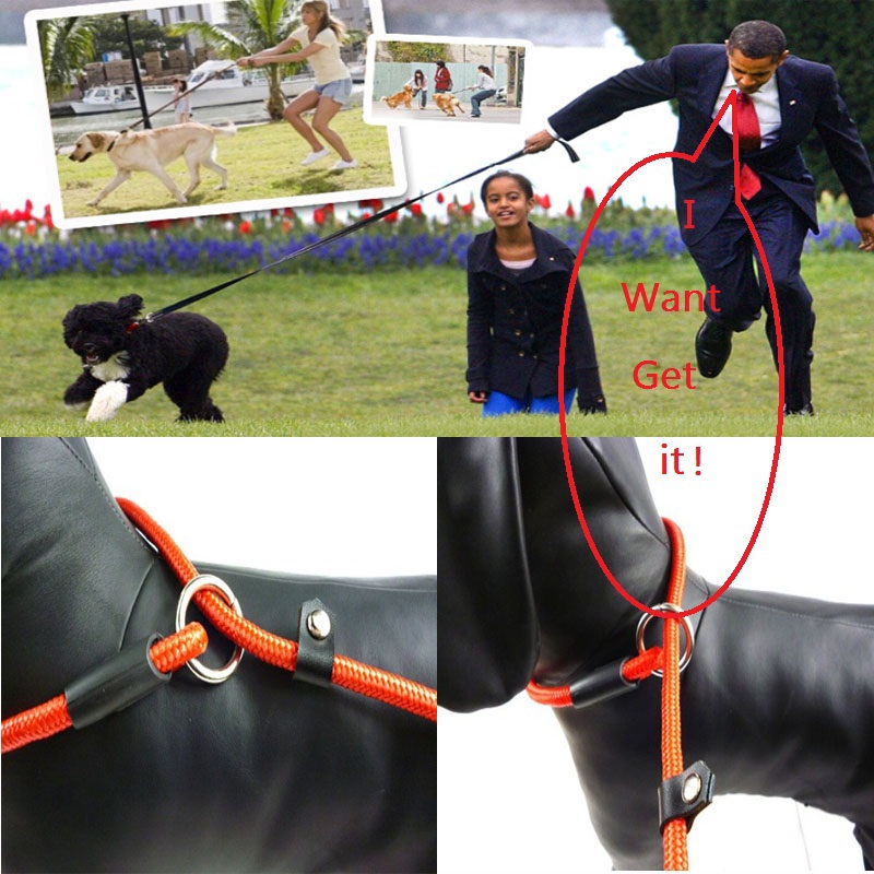 Nylon Rope Training Leash Slip Lead Strap Adjustable Traction Collar for Pet Dog