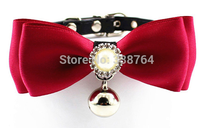 dog bowtie collar wedding